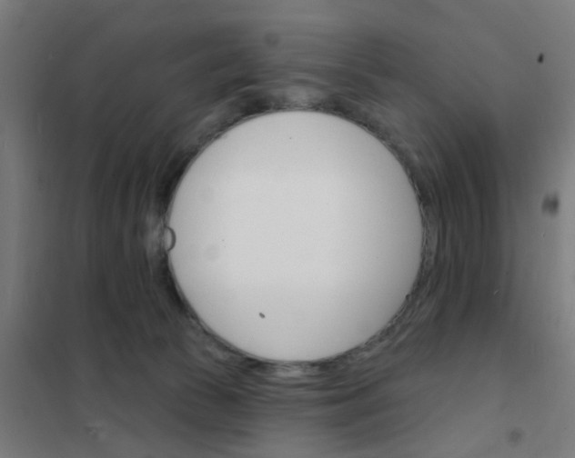 X0000101700177200807241441