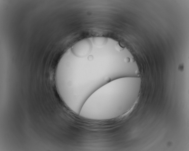 X0000101700178200807241441