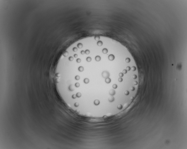 X0000101700179200807241441