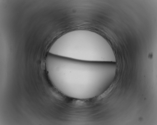 X0000101700180200807241441