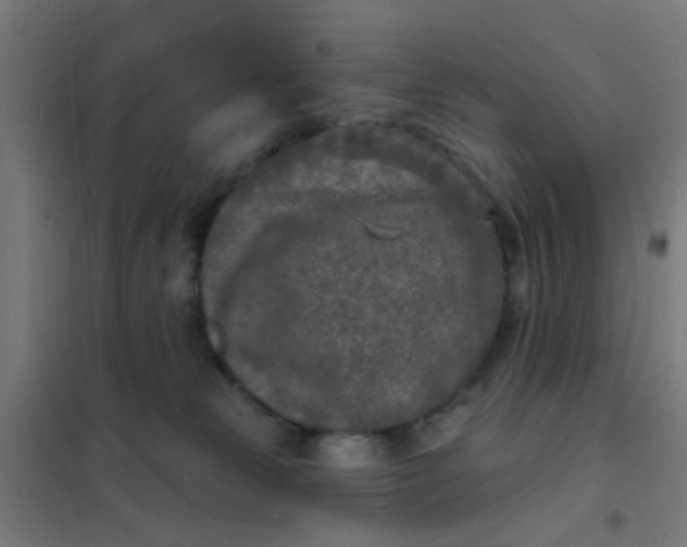 X0000101700181200807241441