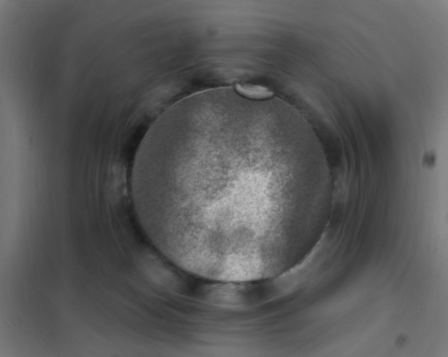 X0000101700182200807241441