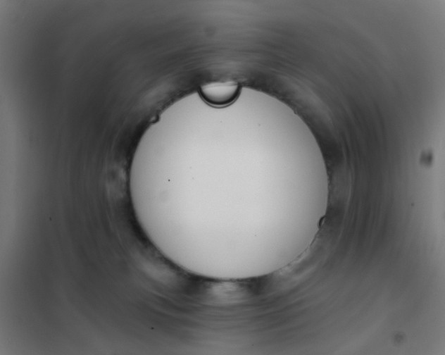 X0000101700183200807241441