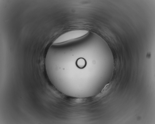 X0000101700184200807241441