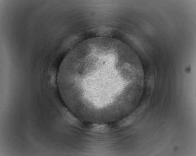 X0000101700185200807241441