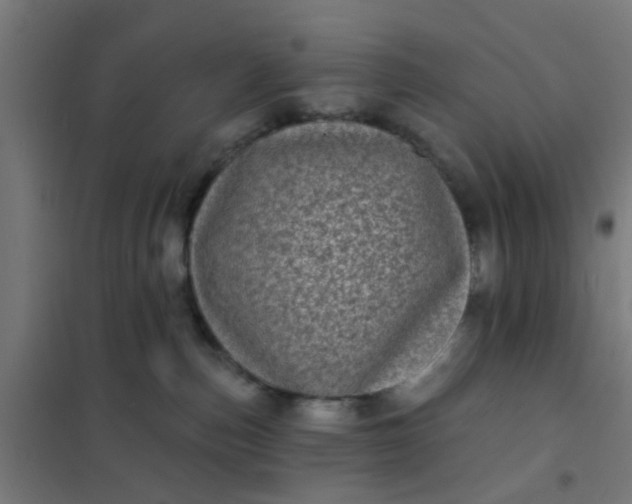 X0000101700187200807241441