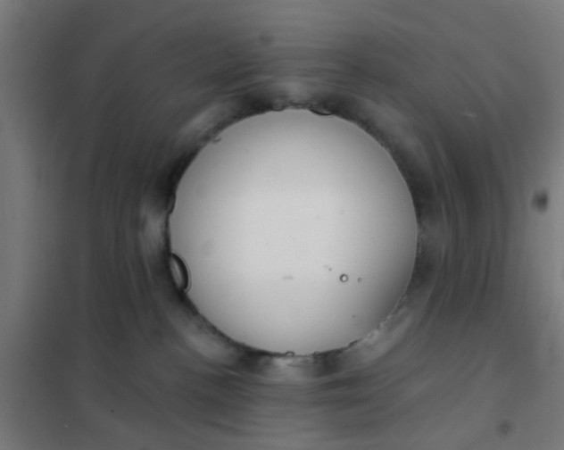 X0000101700188200807241441