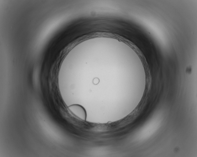 X0000101700189200807241441