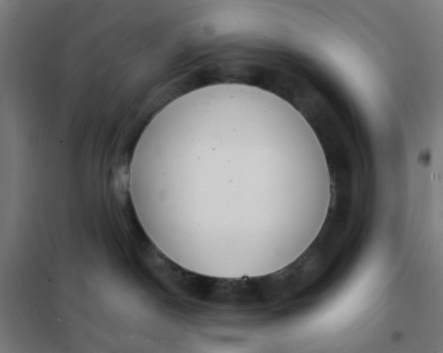 X0000101700190200807241441