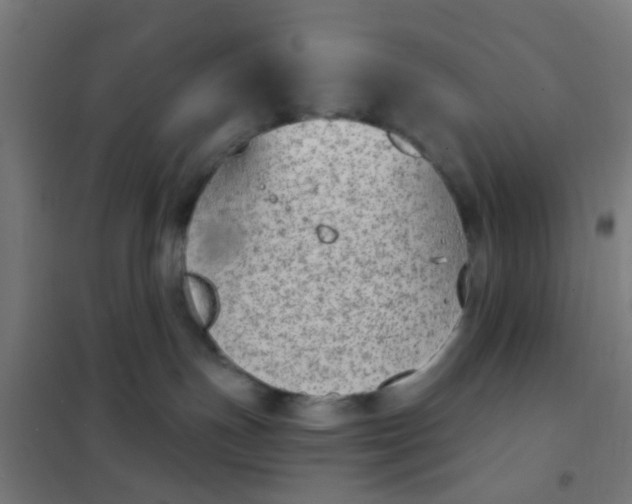 X0000101700191200807241441