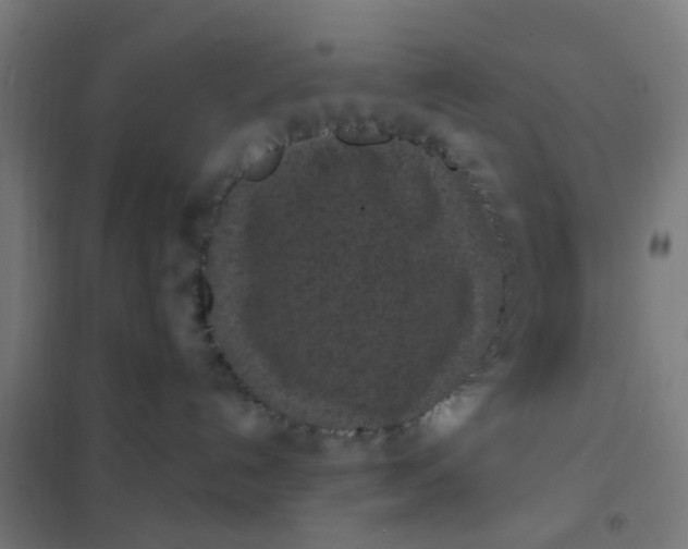 X0000101700192200807241441