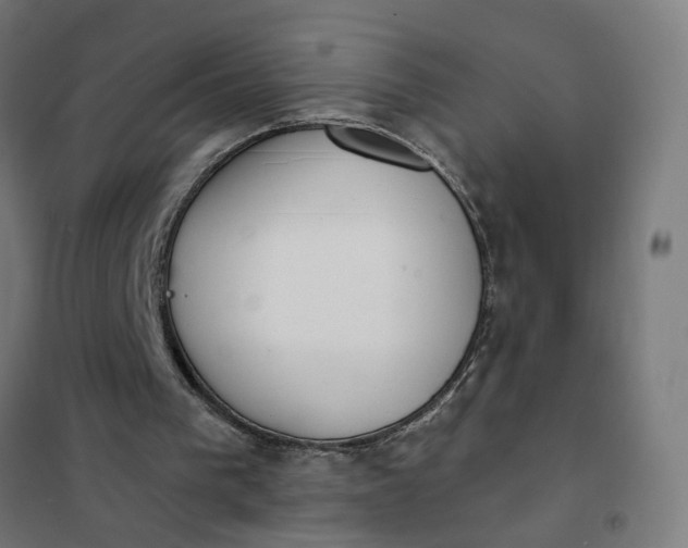 X0000101700193200807241441