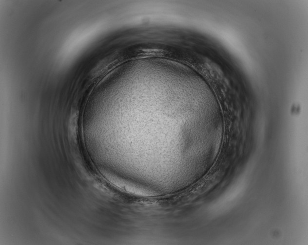 X0000101700194200807241441