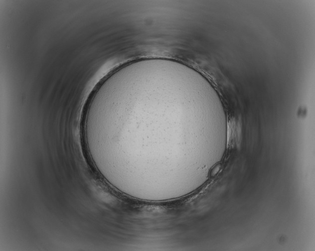 X0000101700195200807241440