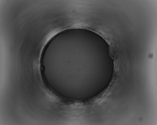 X0000101700196200807241440