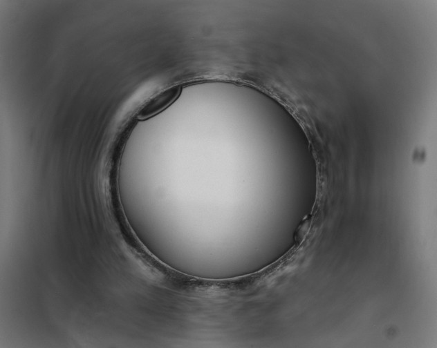 X0000101700197200807241440