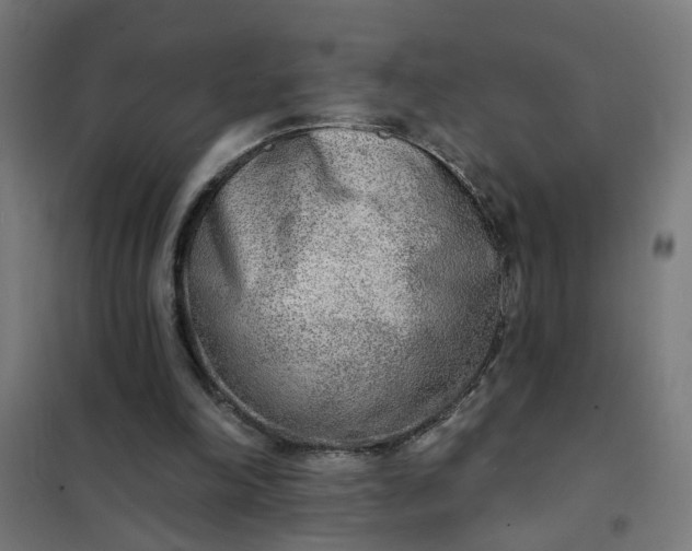 X0000101700198200807241440