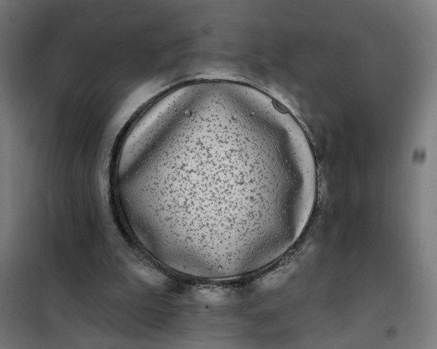 X0000101700199200807241440