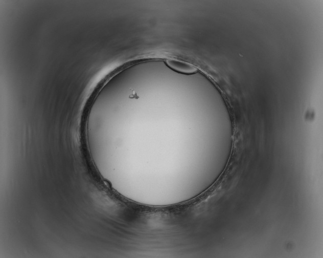 X0000101700200200807241440