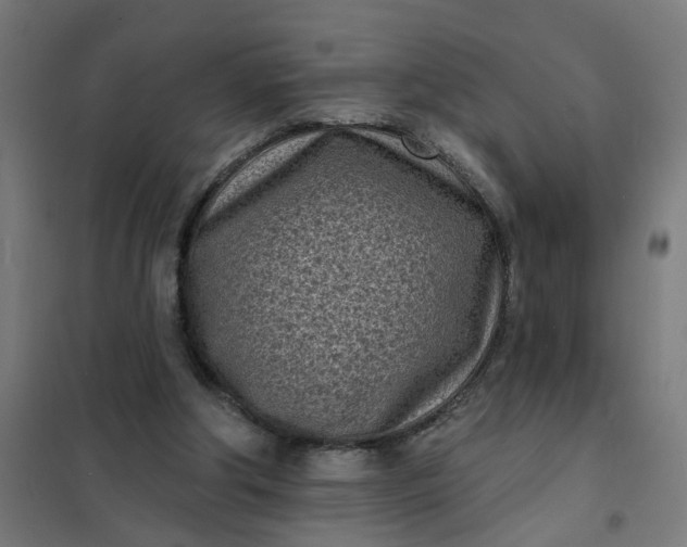 X0000101700202200807241440