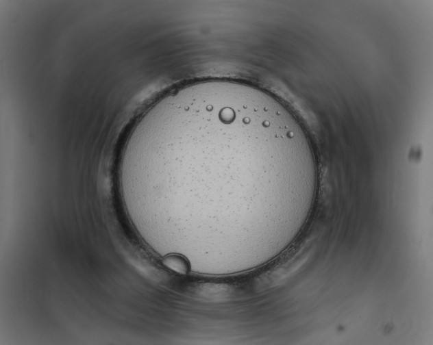 X0000101700203200807241440