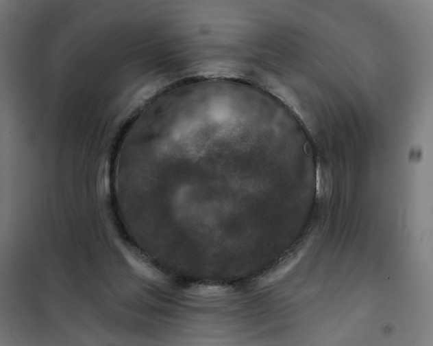 X0000101700205200807241440