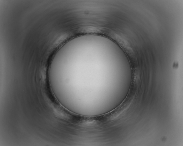 X0000101700206200807241440