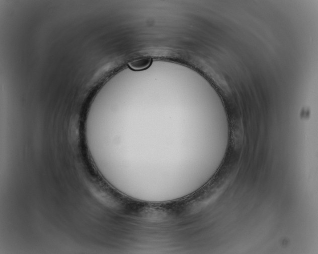 X0000101700207200807241440