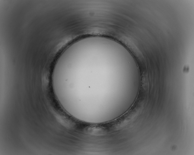 X0000101700208200807241440