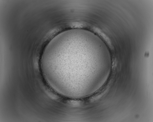 X0000101700209200807241440