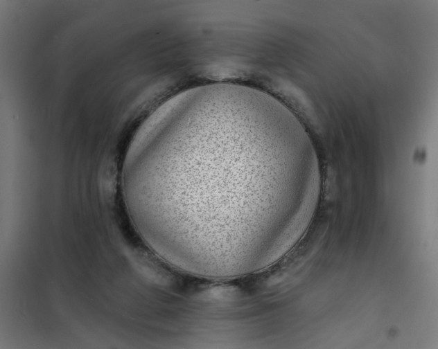 X0000101700210200807241440