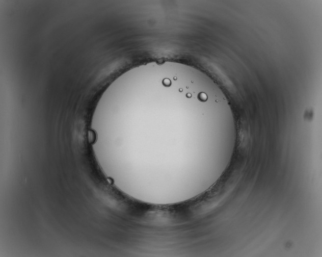 X0000101700211200807241440