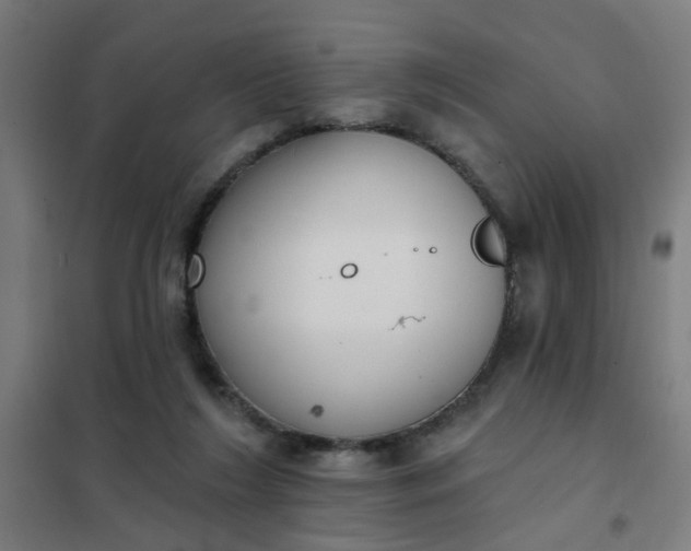 X0000101700212200807241440