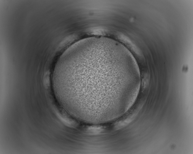 X0000101700213200807241440