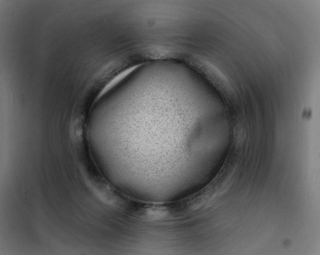 X0000101700214200807241440