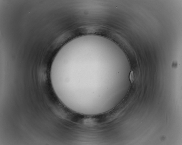 X0000101700216200807241440