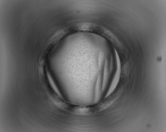 X0000101700217200807241440