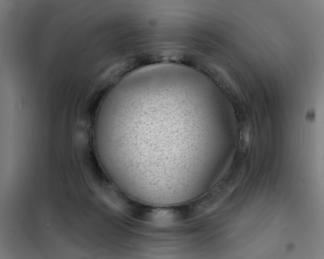 X0000101700218200807241440