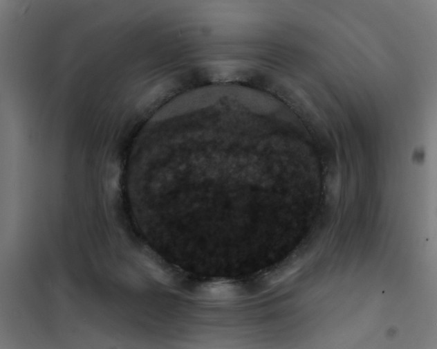 X0000101700219200807241440