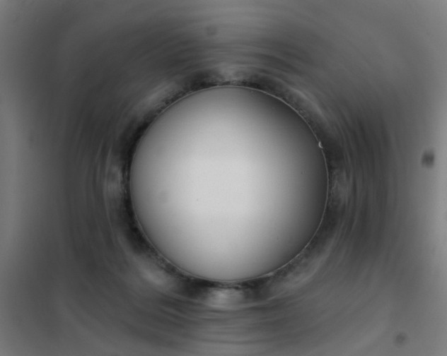 X0000101700220200807241440