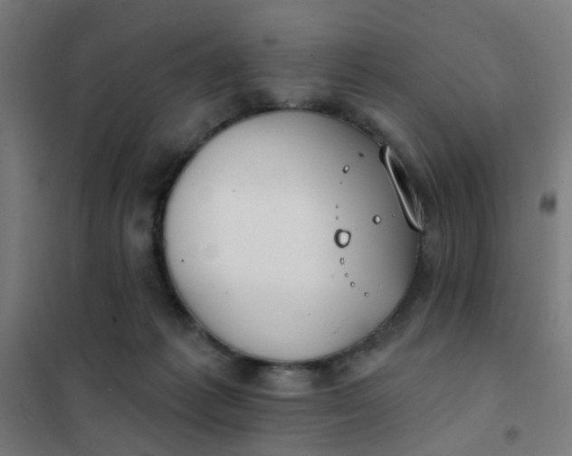 X0000101700221200807241440