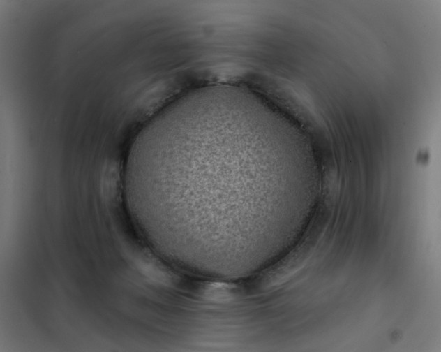 X0000101700222200807241440