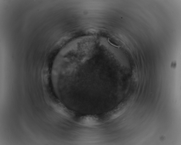 X0000101700223200807241440