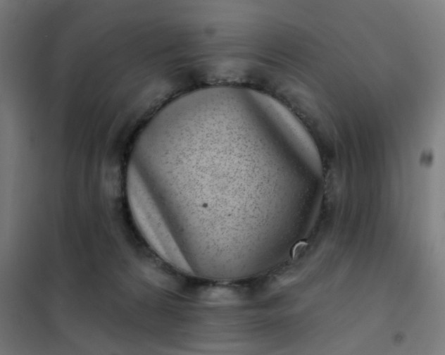 X0000101700224200807241440