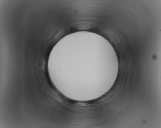 X0000101700227200807241440