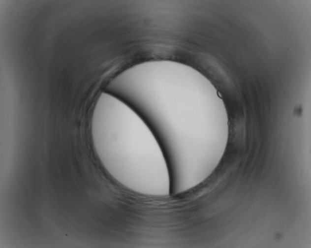 X0000101700228200807241440