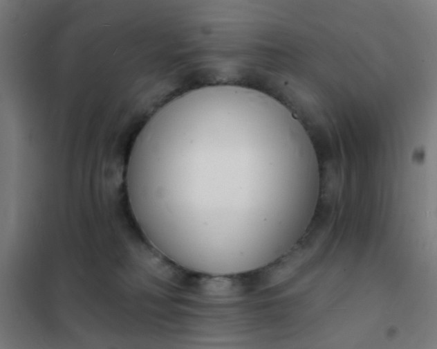 X0000101700230200807241440