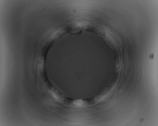 X0000101700231200807241440