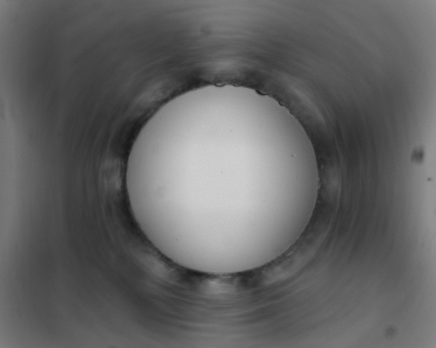 X0000101700232200807241440