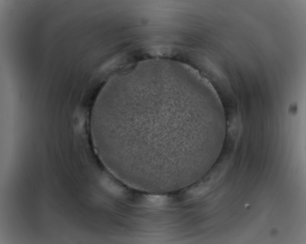 X0000101700233200807241440